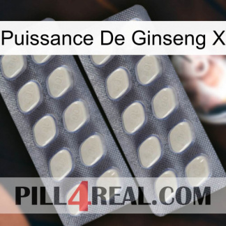 Ginseng Power X 07